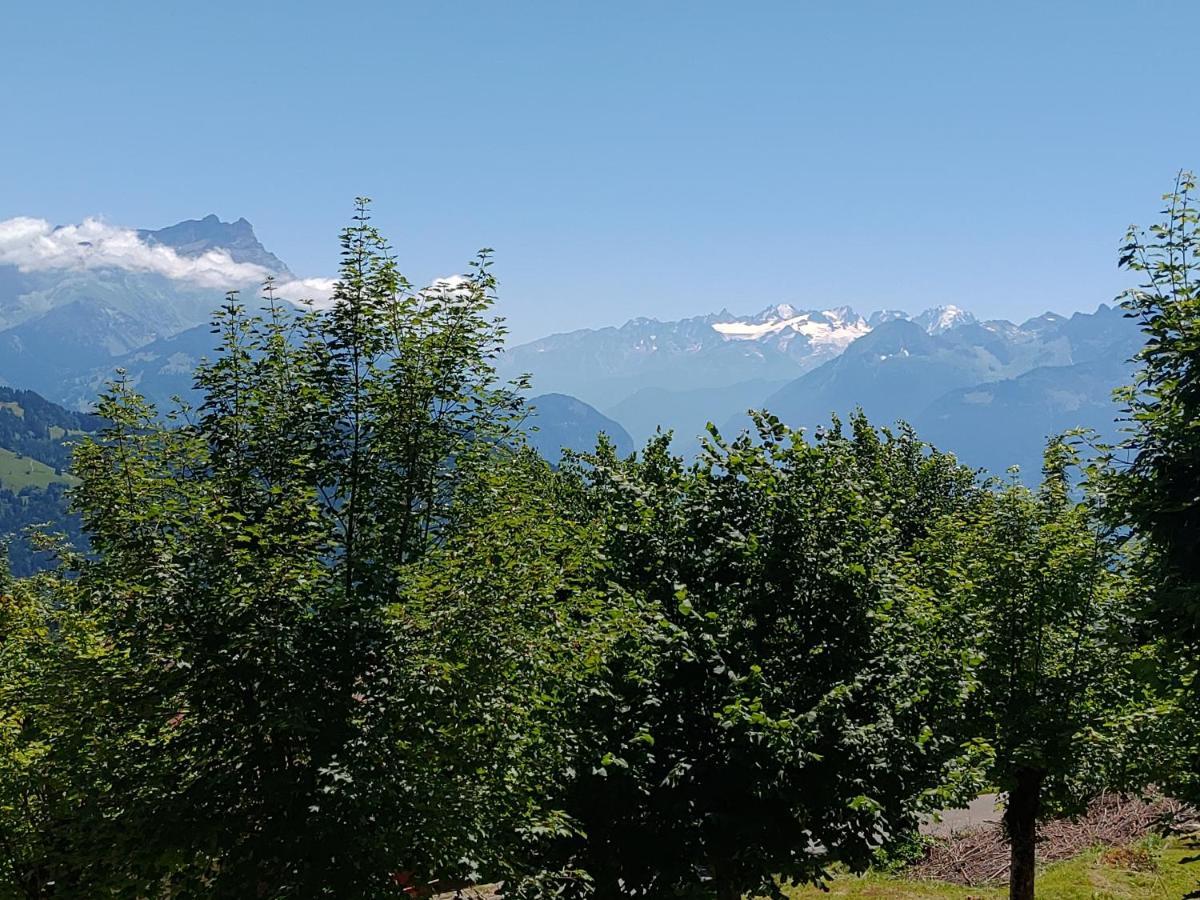 Studio Au Calme, Vue Imprenable Sur La Vallee Leysin Exteriör bild