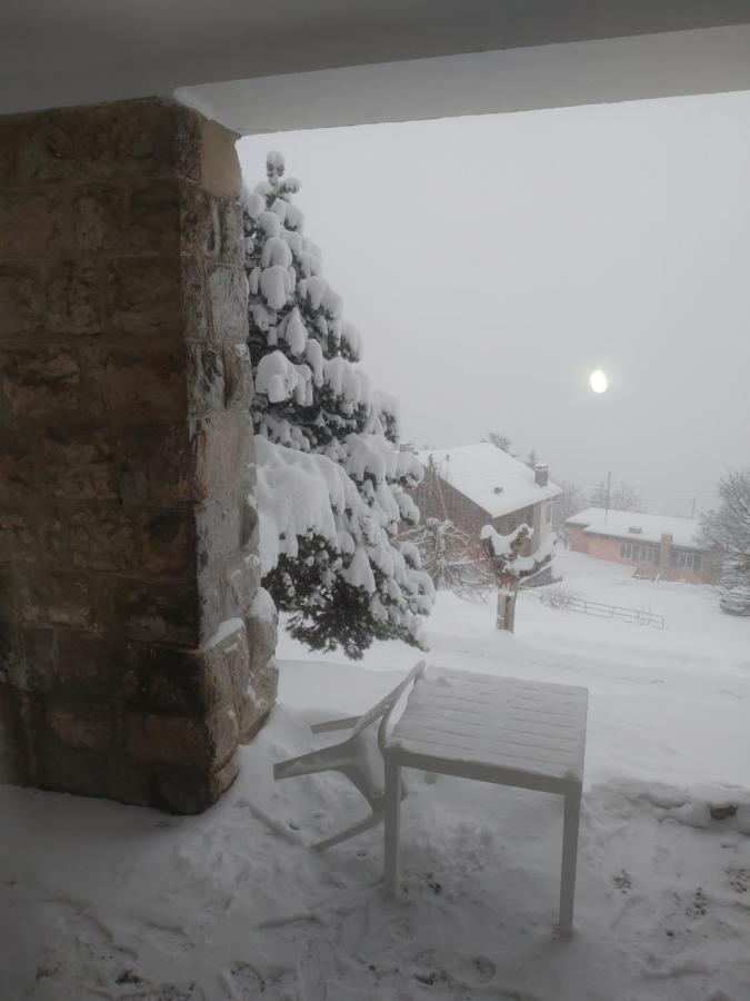 Studio Au Calme, Vue Imprenable Sur La Vallee Leysin Exteriör bild