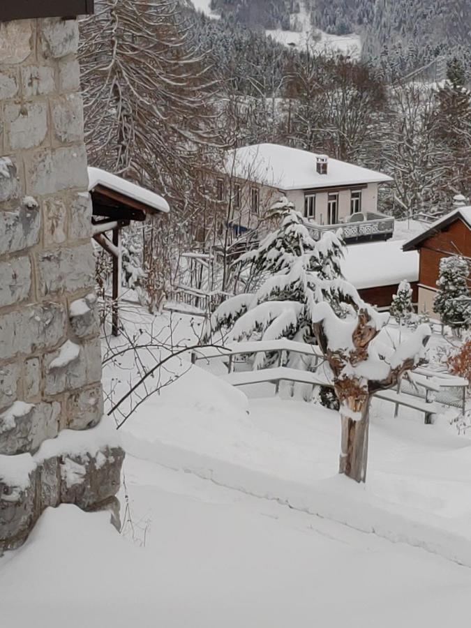 Studio Au Calme, Vue Imprenable Sur La Vallee Leysin Exteriör bild