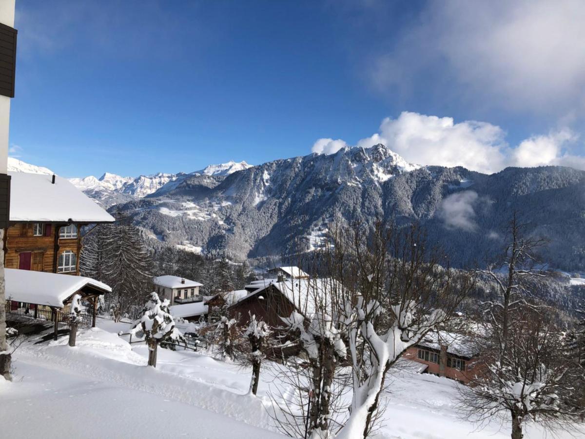 Studio Au Calme, Vue Imprenable Sur La Vallee Leysin Exteriör bild