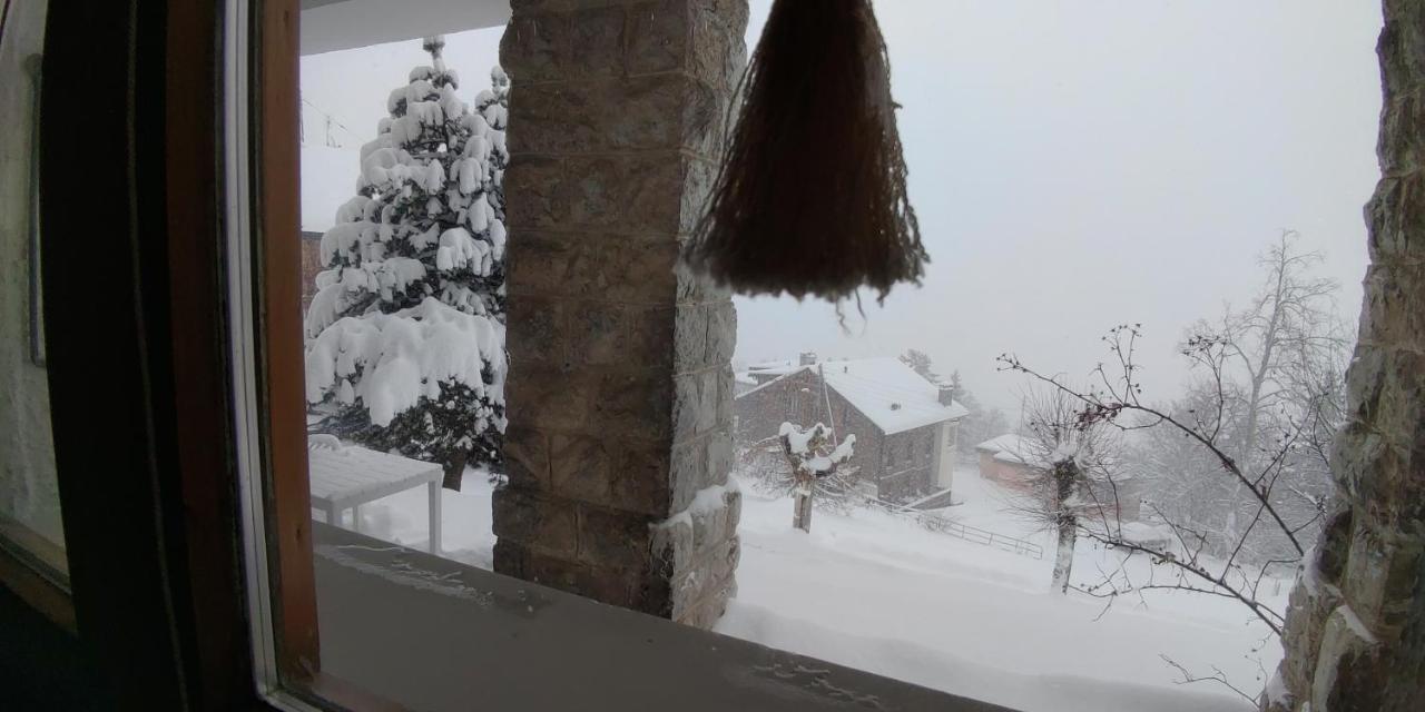 Studio Au Calme, Vue Imprenable Sur La Vallee Leysin Exteriör bild