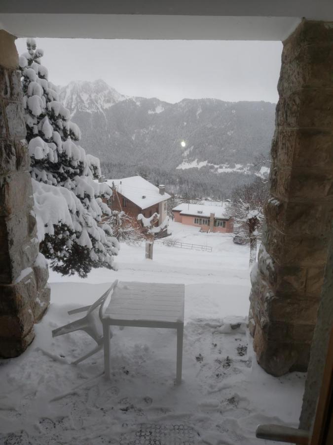 Studio Au Calme, Vue Imprenable Sur La Vallee Leysin Exteriör bild