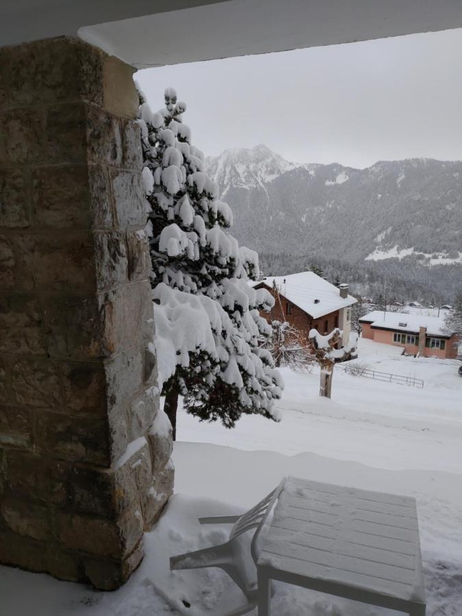 Studio Au Calme, Vue Imprenable Sur La Vallee Leysin Exteriör bild